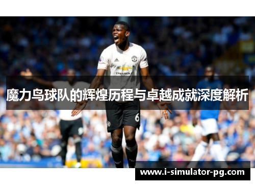 魔力鸟球队的辉煌历程与卓越成就深度解析