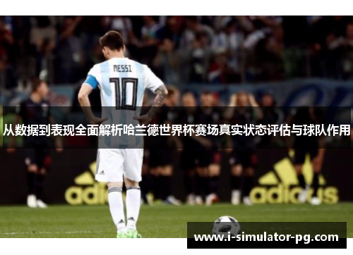 从数据到表现全面解析哈兰德世界杯赛场真实状态评估与球队作用