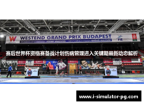 赛后世界杯资格赛备战计划伤病管理进入关键期最新动态解析